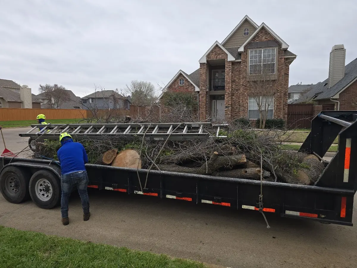 Expert Tree Removal with proper safety equipment in Pleasant Garden